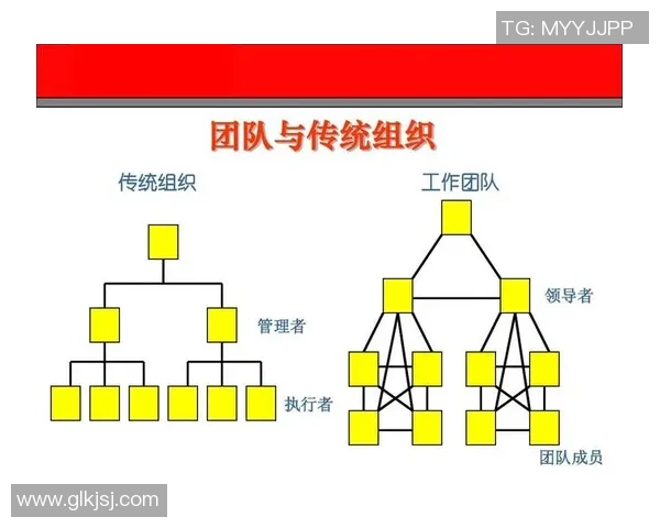 北京足球队在精英赛中的团队协作表现分析与启示
